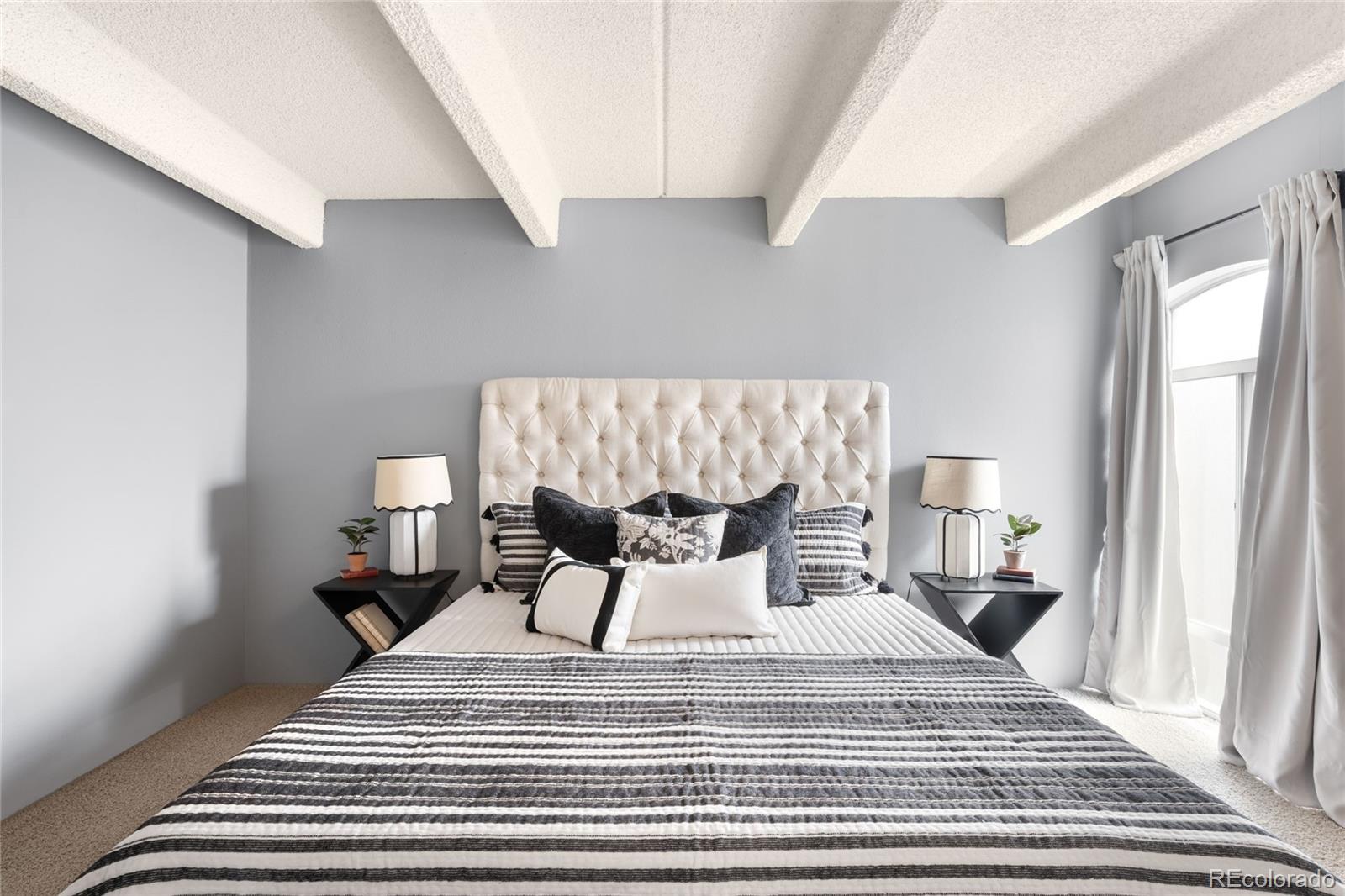 MLS Image #19 for 1365  columbine street,denver, Colorado