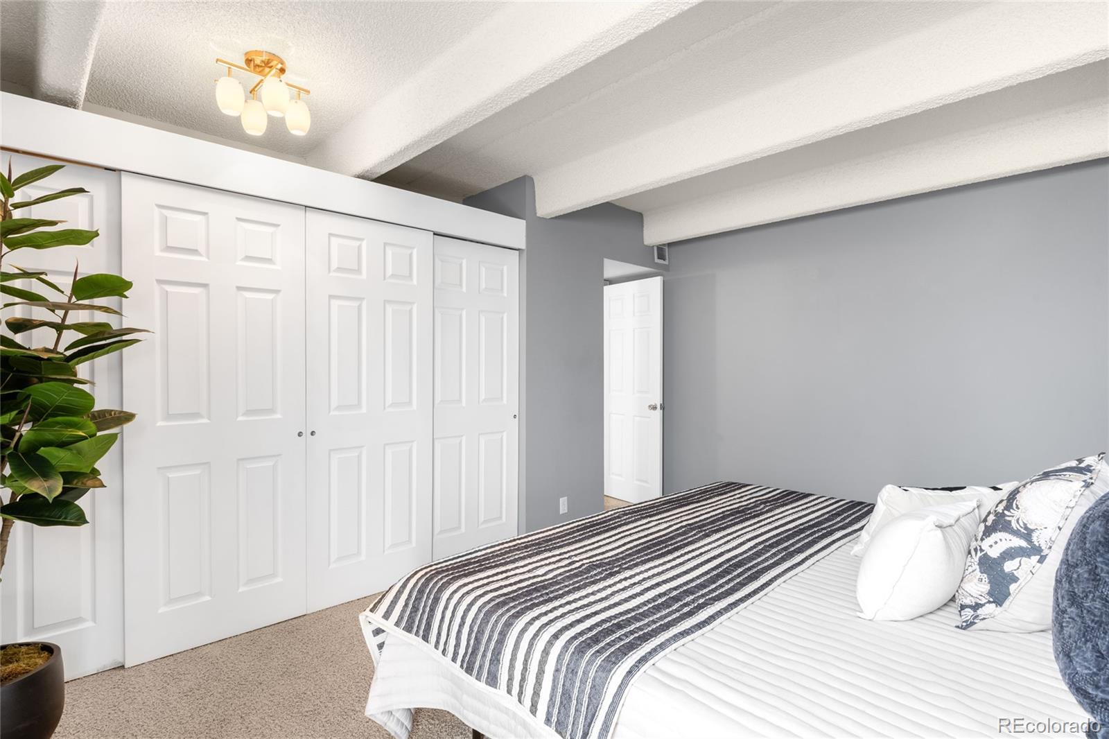MLS Image #20 for 1365  columbine street,denver, Colorado