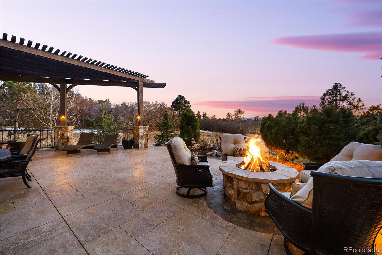 MLS Image #10 for 1042  country club estates drive,castle rock, Colorado