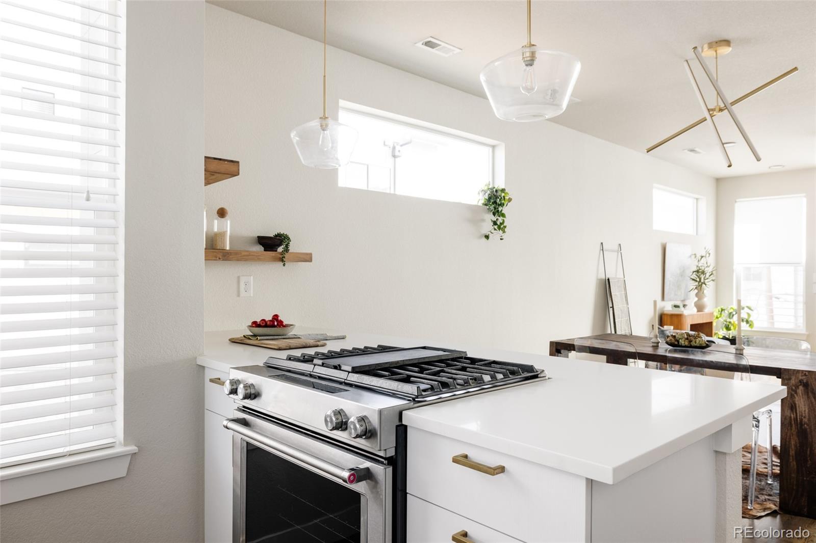 MLS Image #14 for 3145 w 19th avenue,denver, Colorado