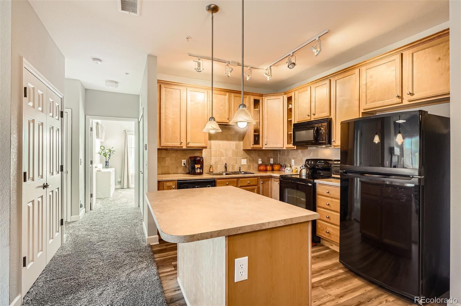 MLS Image #4 for 9318  las ramblas court,parker, Colorado