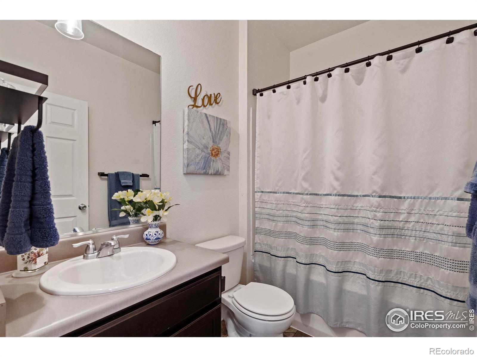 MLS Image #17 for 516  buckrake street,severance, Colorado