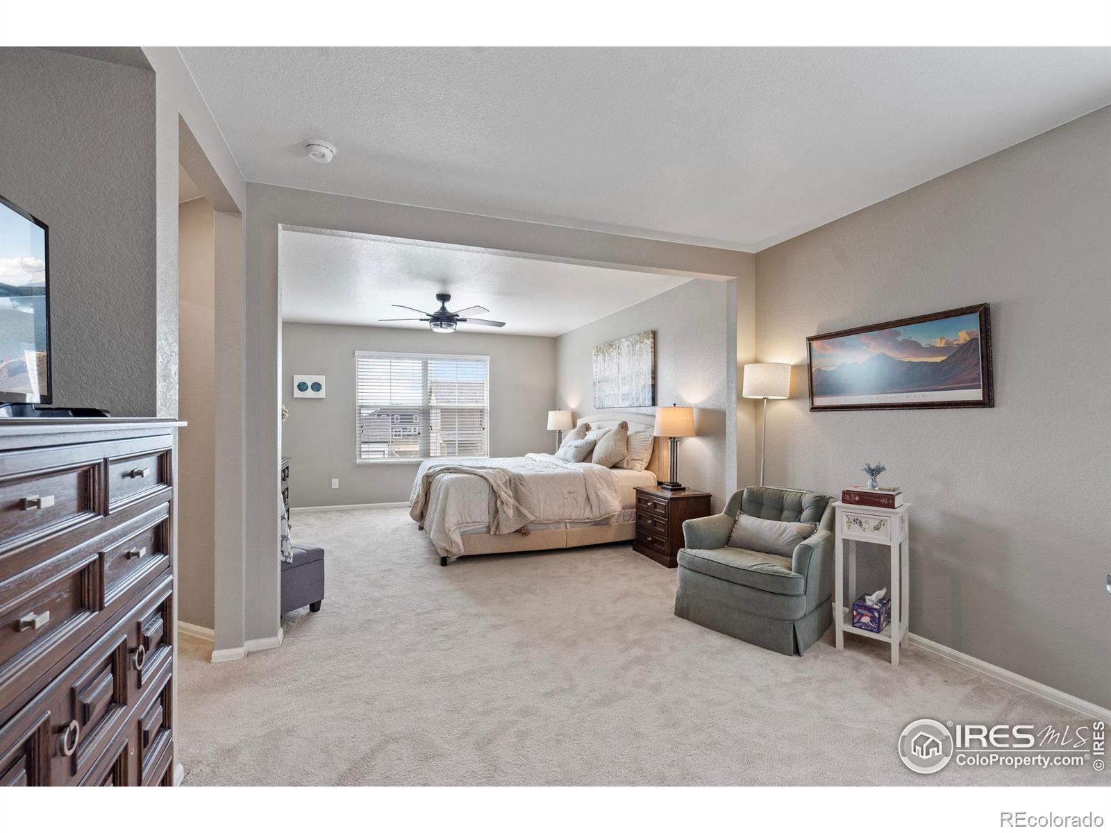 MLS Image #18 for 516  buckrake street,severance, Colorado
