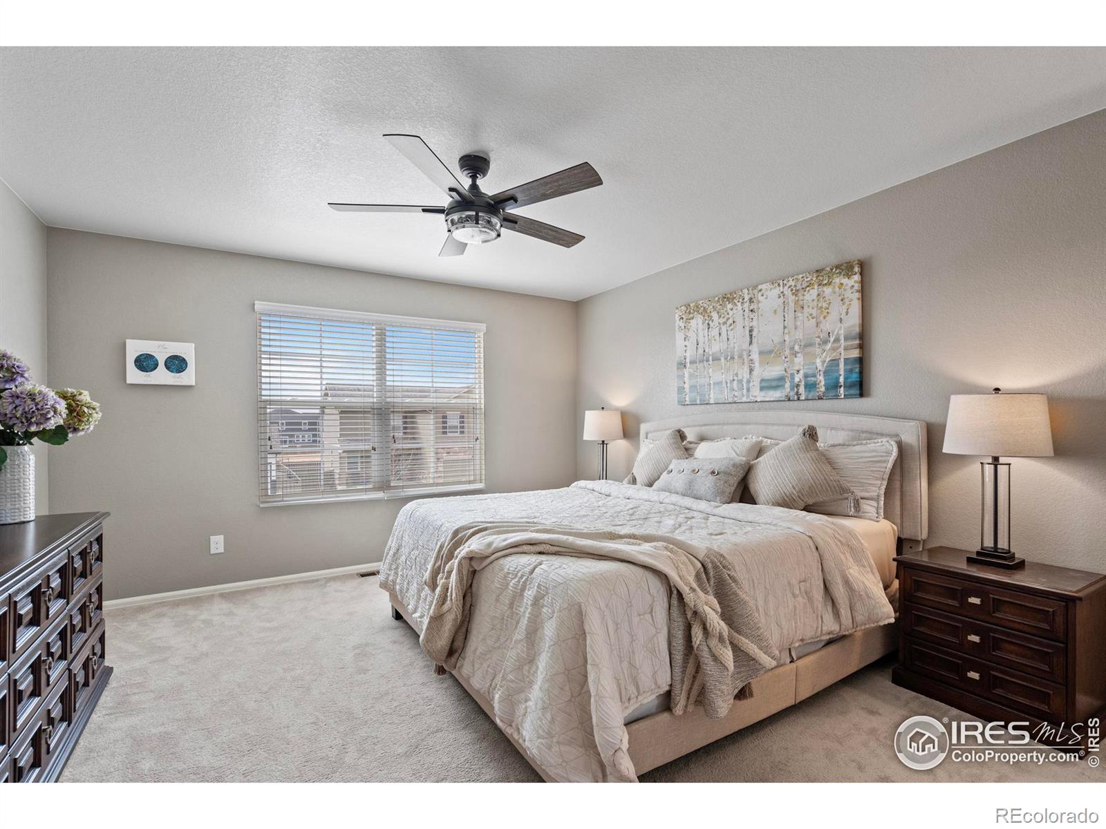 MLS Image #19 for 516  buckrake street,severance, Colorado
