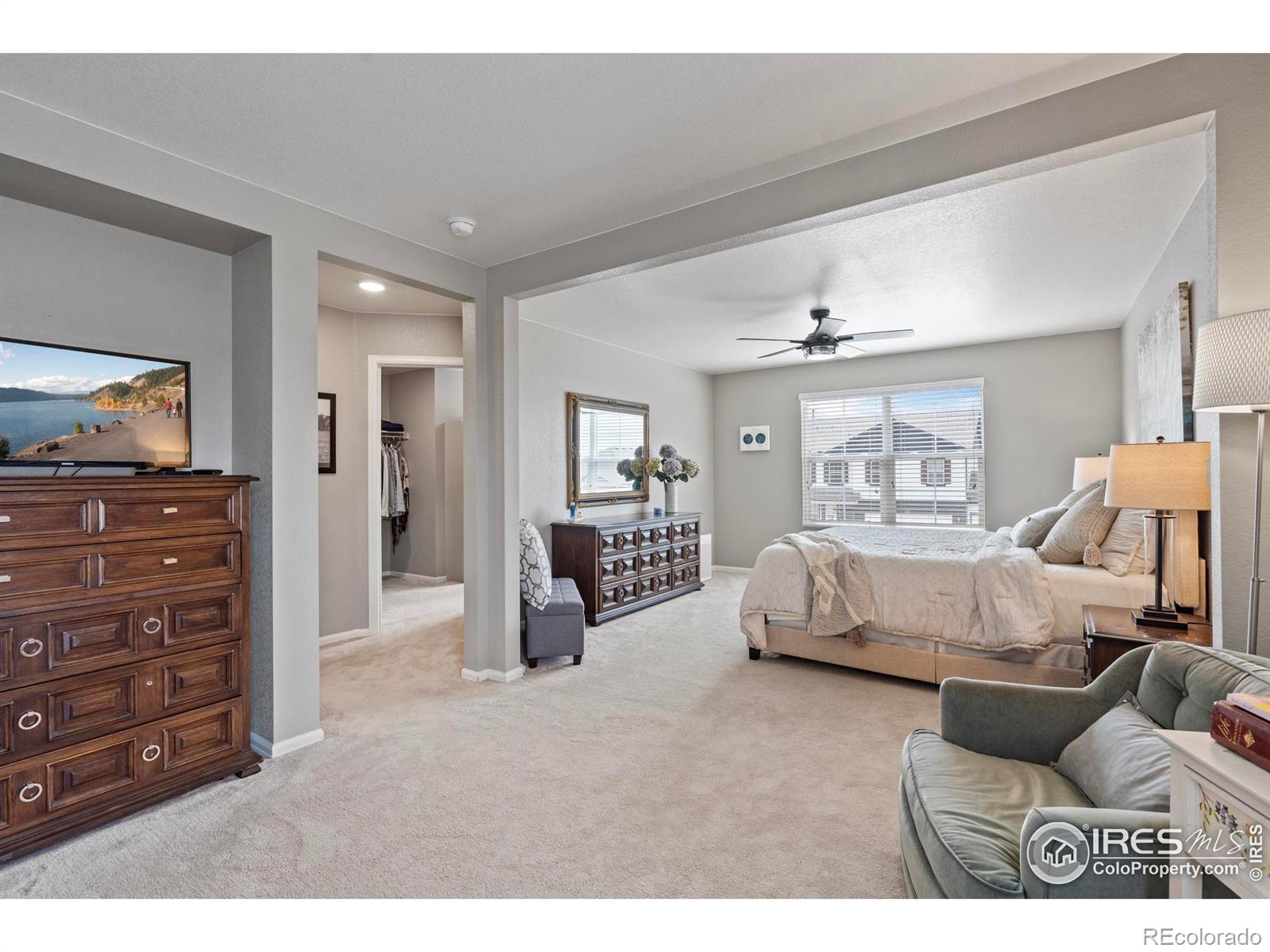 MLS Image #20 for 516  buckrake street,severance, Colorado