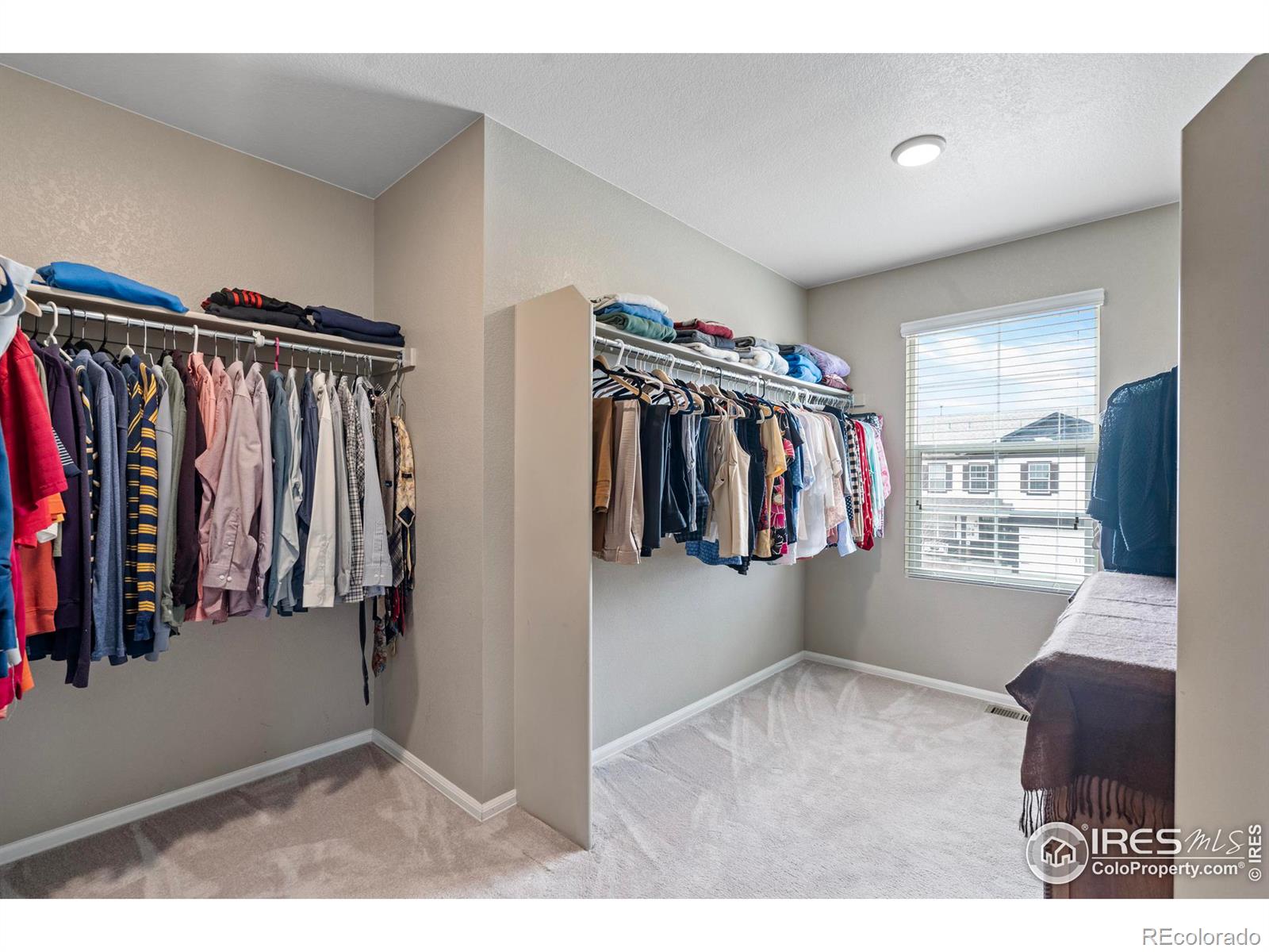 MLS Image #23 for 516  buckrake street,severance, Colorado