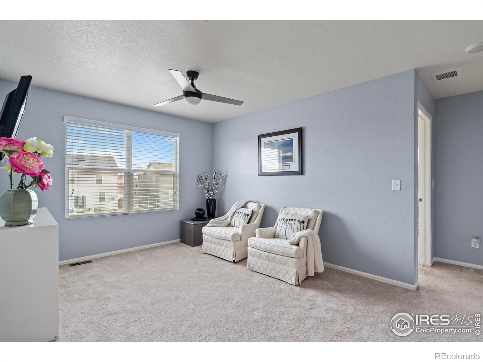 MLS Image #26 for 516  buckrake street,severance, Colorado
