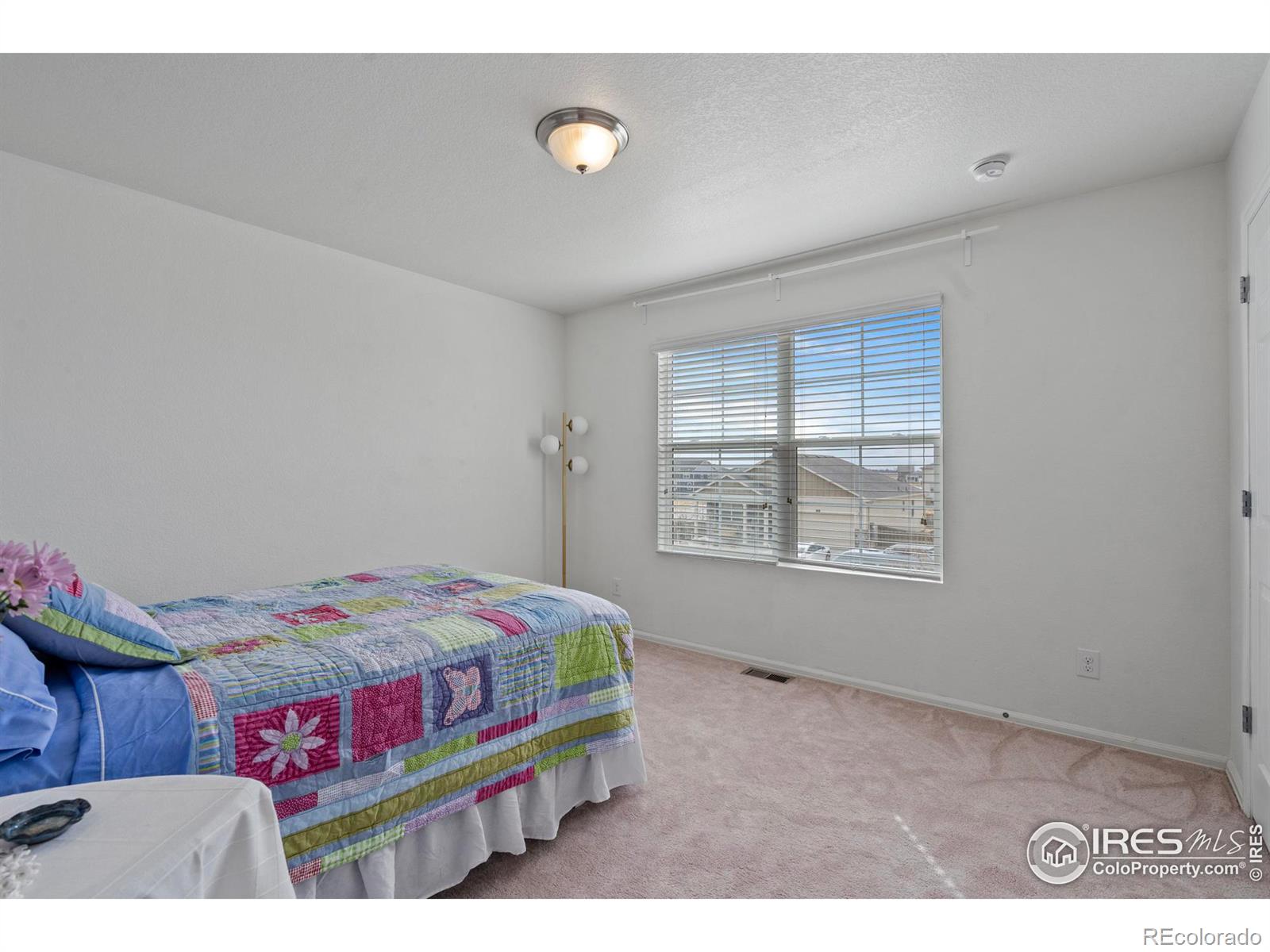 MLS Image #31 for 516  buckrake street,severance, Colorado