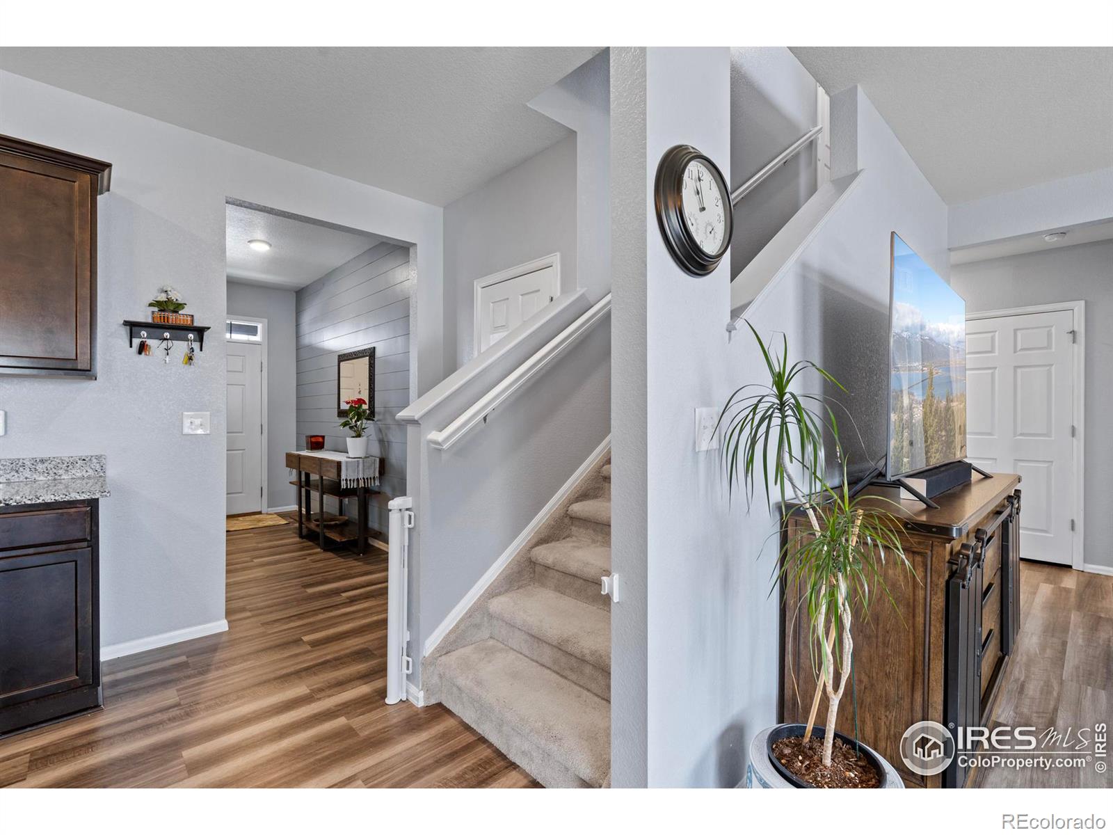 MLS Image #5 for 516  buckrake street,severance, Colorado