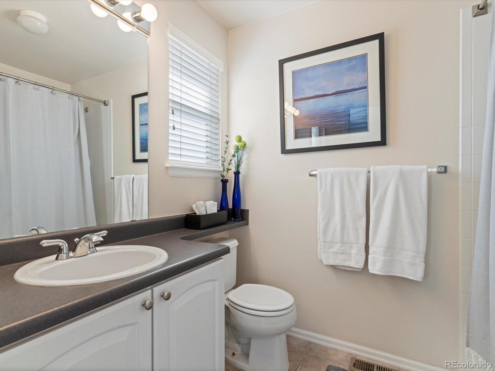 MLS Image #20 for 7858  oban court,lone tree, Colorado