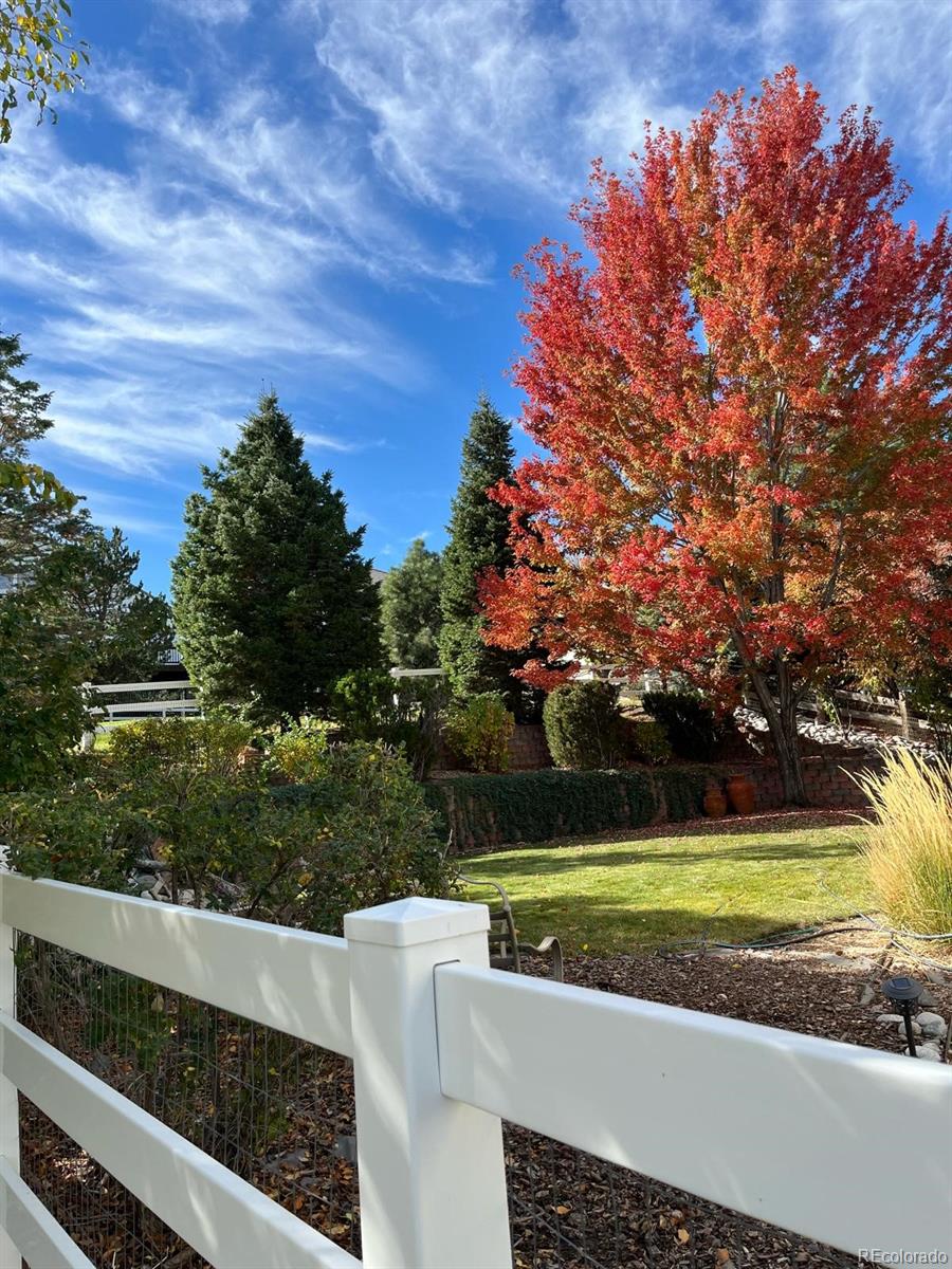 MLS Image #34 for 7858  oban court,lone tree, Colorado