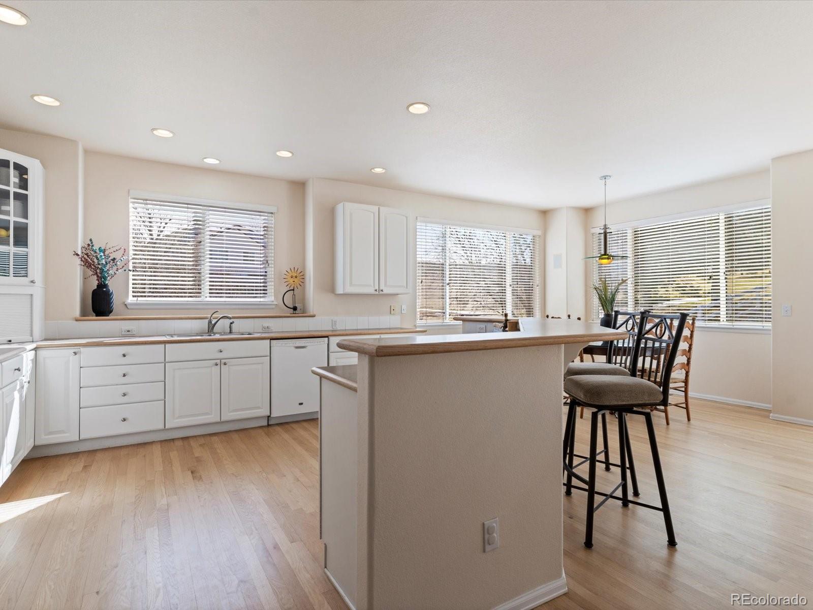 MLS Image #9 for 7858  oban court,lone tree, Colorado
