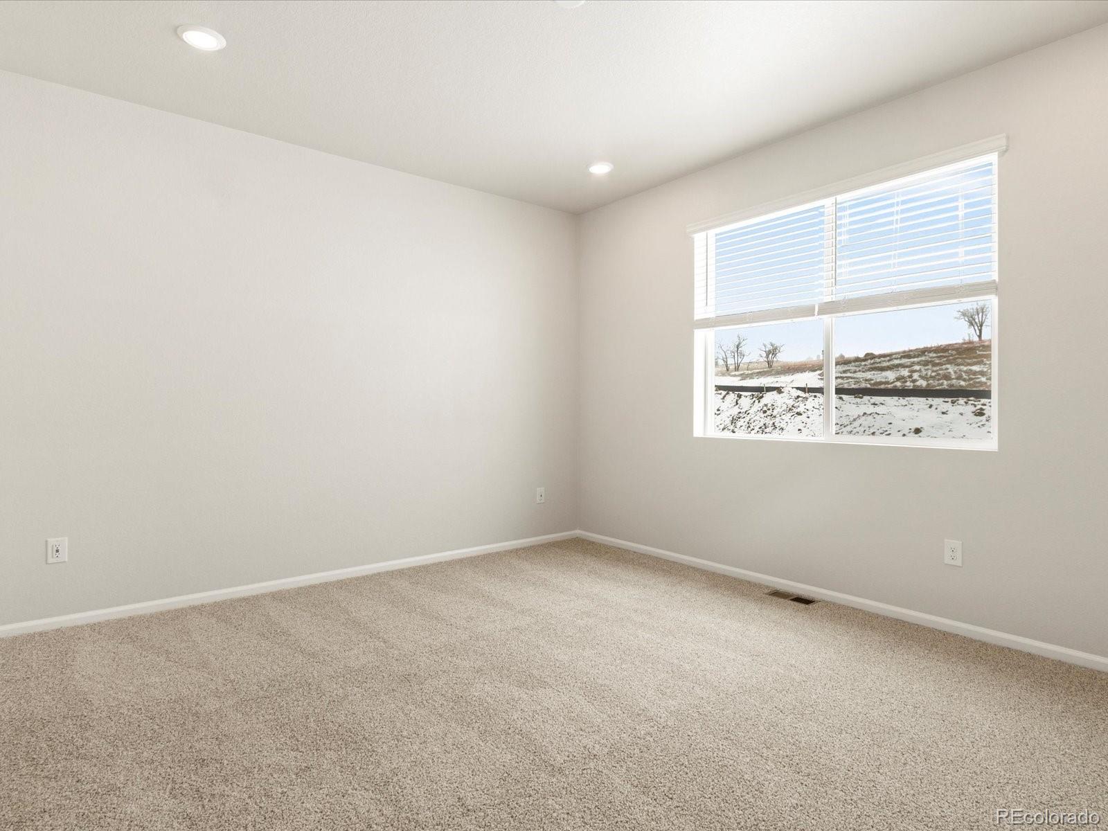 MLS Image #27 for 1638  rumley creek drive,windsor, Colorado