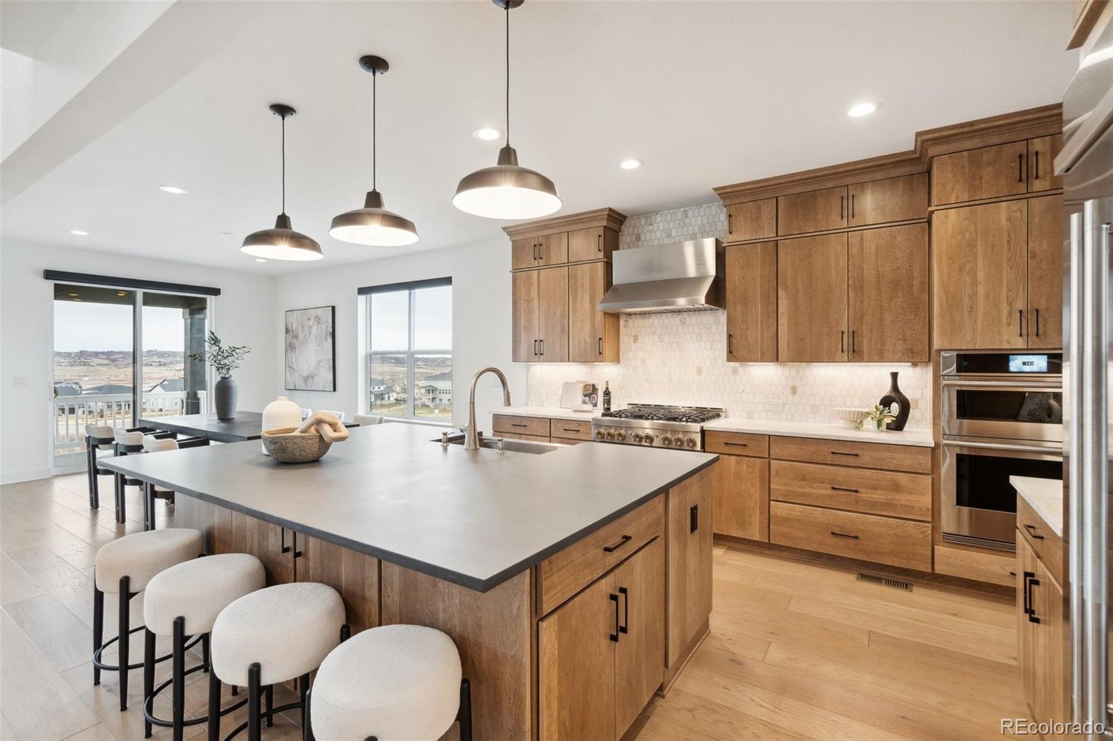 MLS Image #10 for 555  coal bank trail,castle rock, Colorado