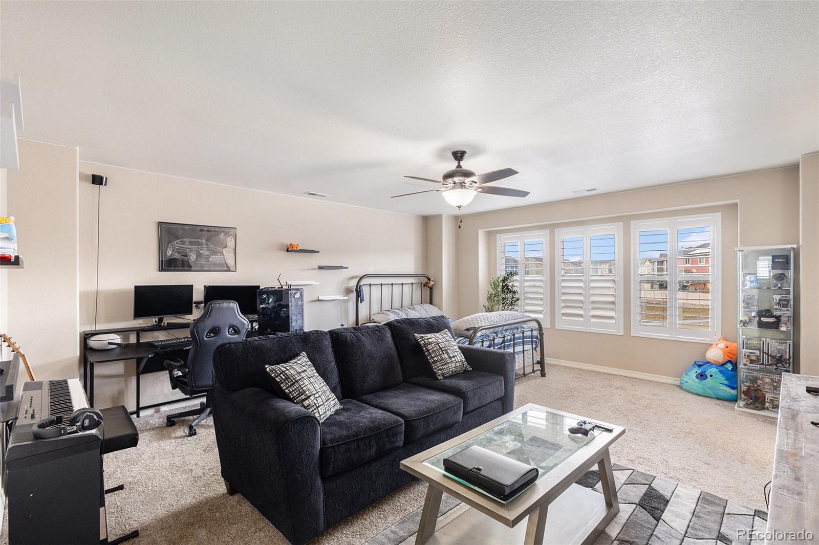 MLS Image #7 for 8280  basaltic drive,colorado springs, Colorado