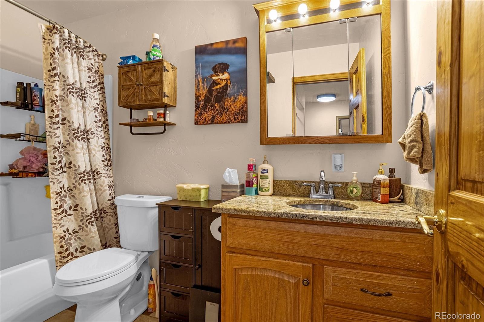 MLS Image #17 for 523 n idledale drive,pueblo, Colorado