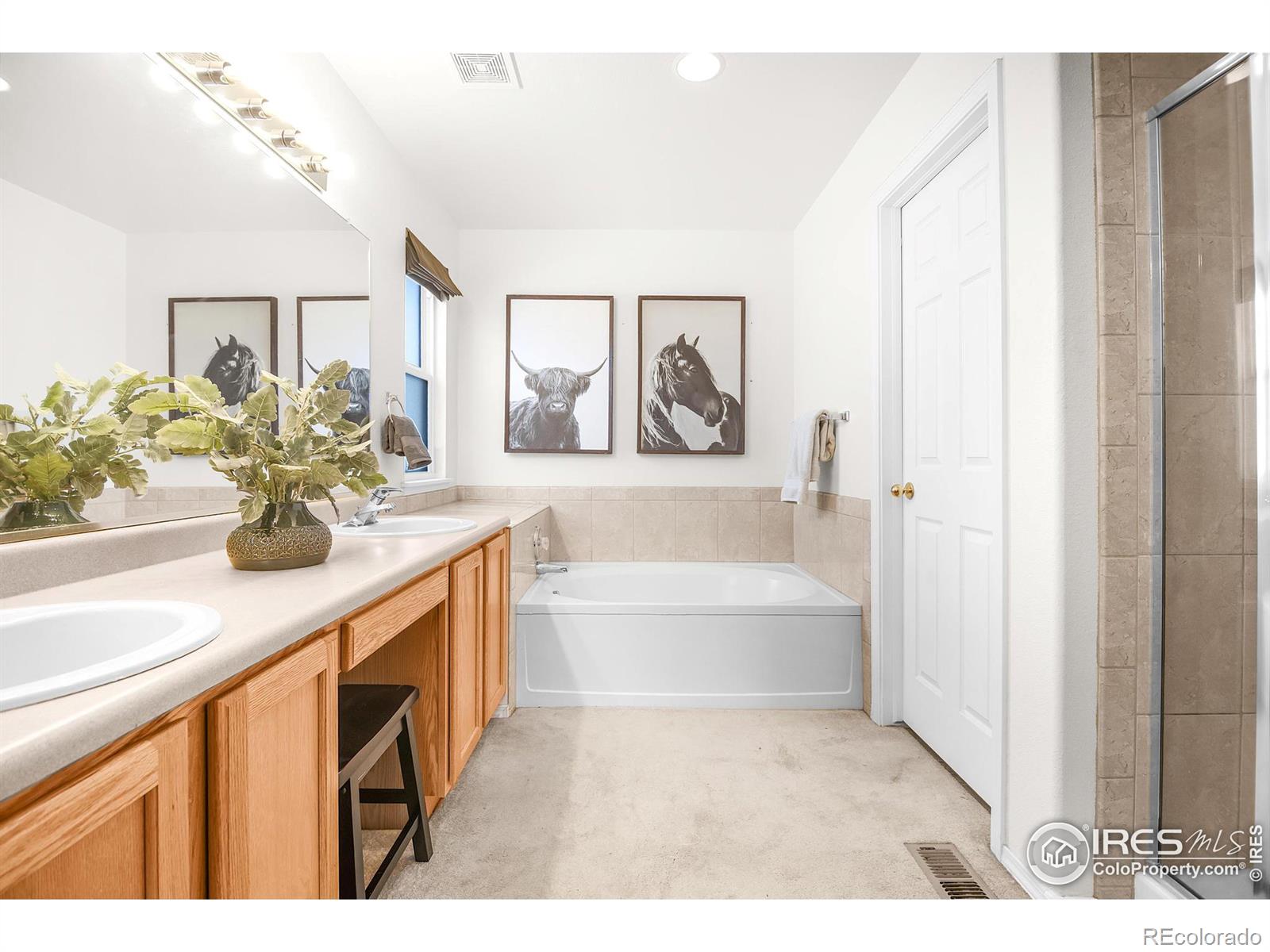 MLS Image #14 for 2122  blue wing drive,johnstown, Colorado