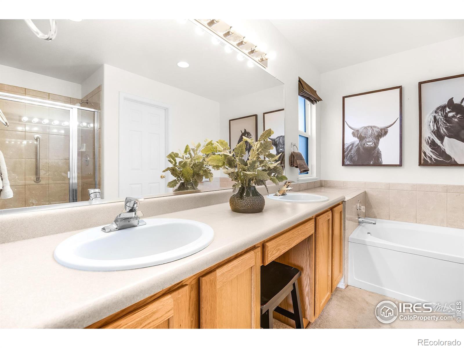 MLS Image #15 for 2122  blue wing drive,johnstown, Colorado