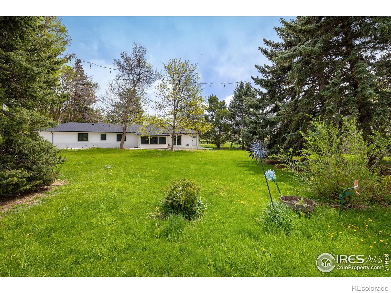MLS Image #5 for 10587 n 95th street,longmont, Colorado