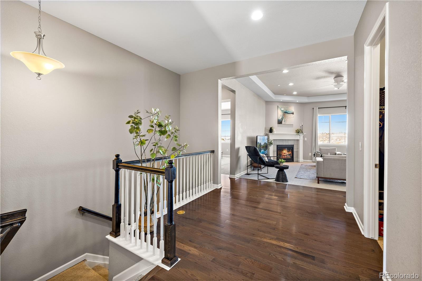 MLS Image #14 for 3790  mighty oaks street,castle rock, Colorado
