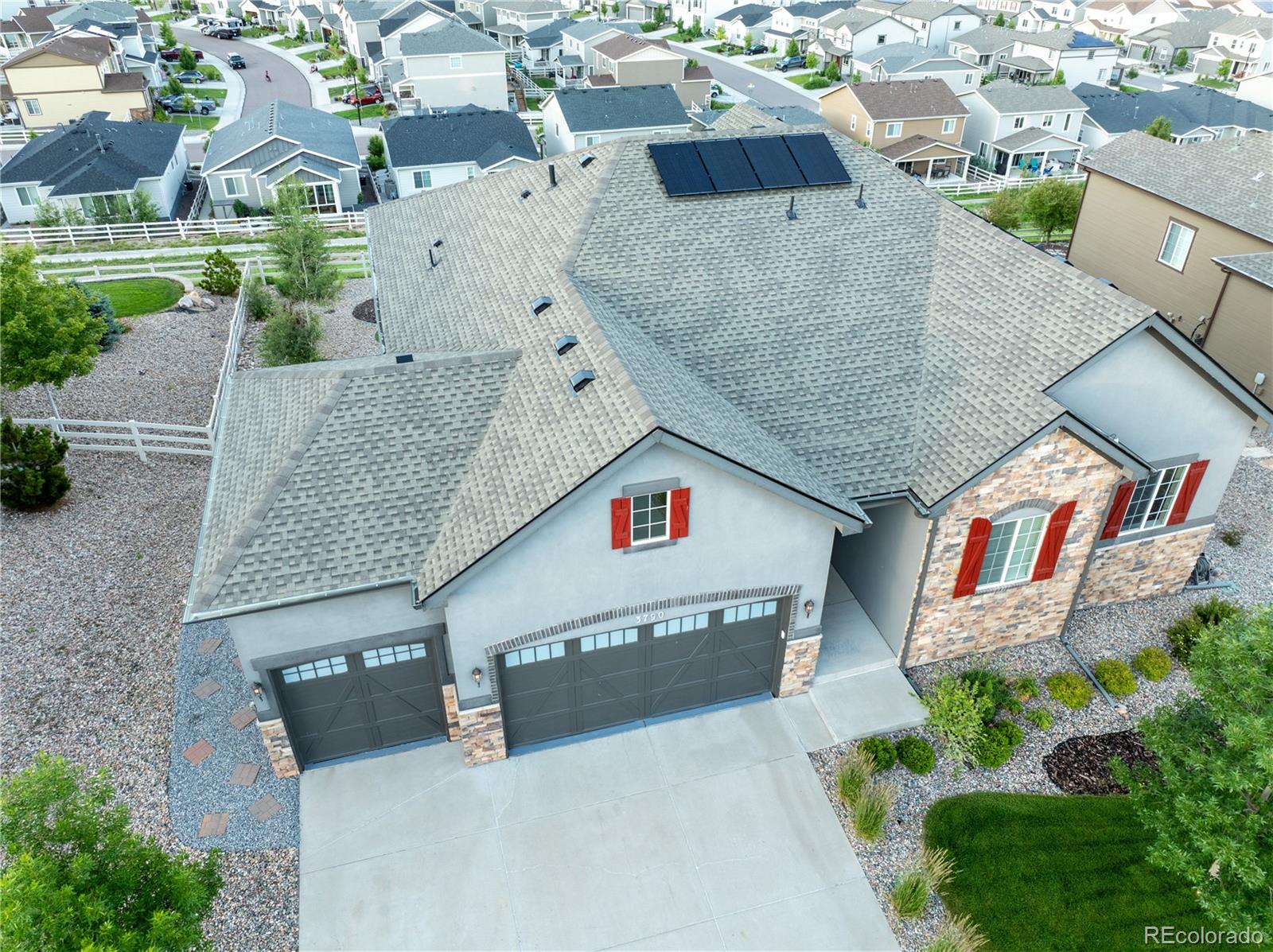 MLS Image #2 for 3790  mighty oaks street,castle rock, Colorado
