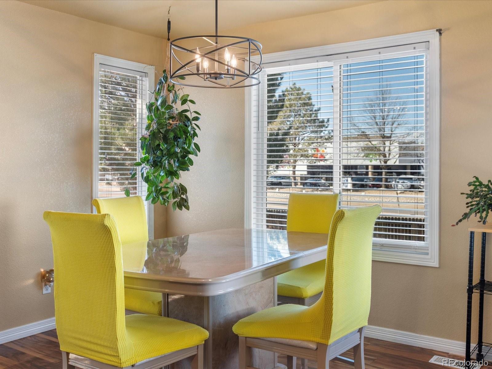 MLS Image #9 for 5175  quari street,denver, Colorado