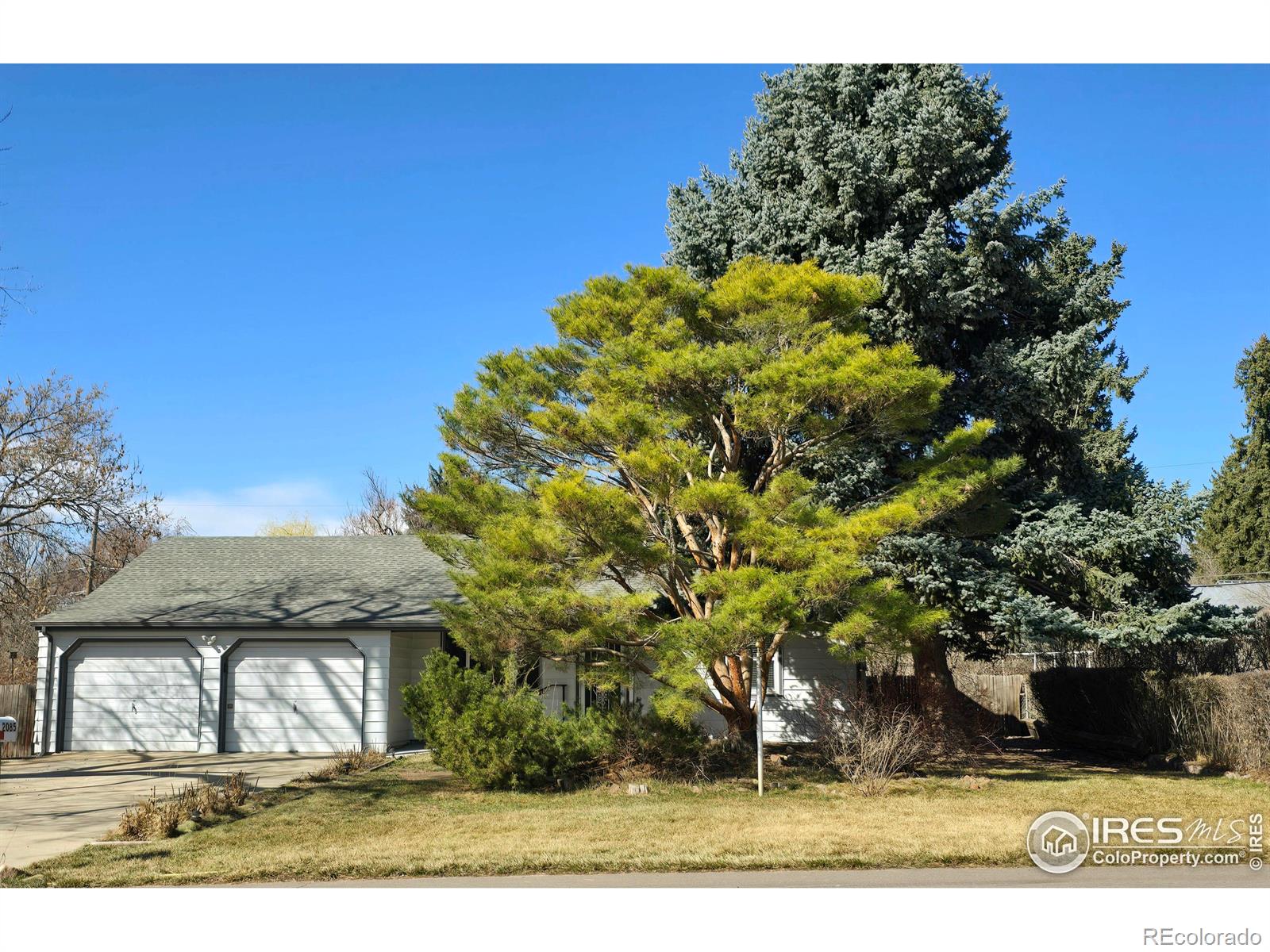 MLS Image #0 for 2085  carr street,lakewood, Colorado