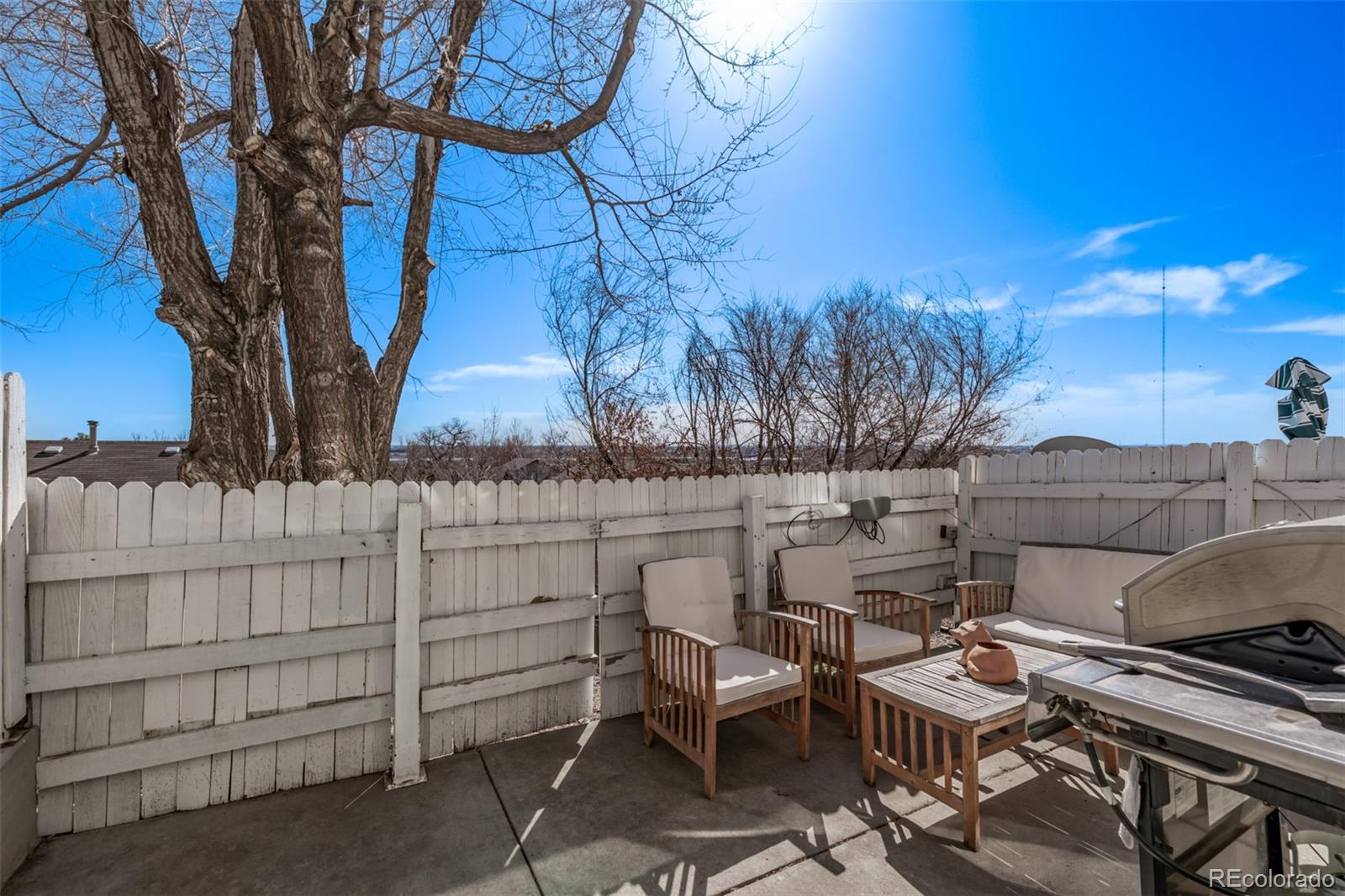 MLS Image #27 for 8199  welby road,denver, Colorado