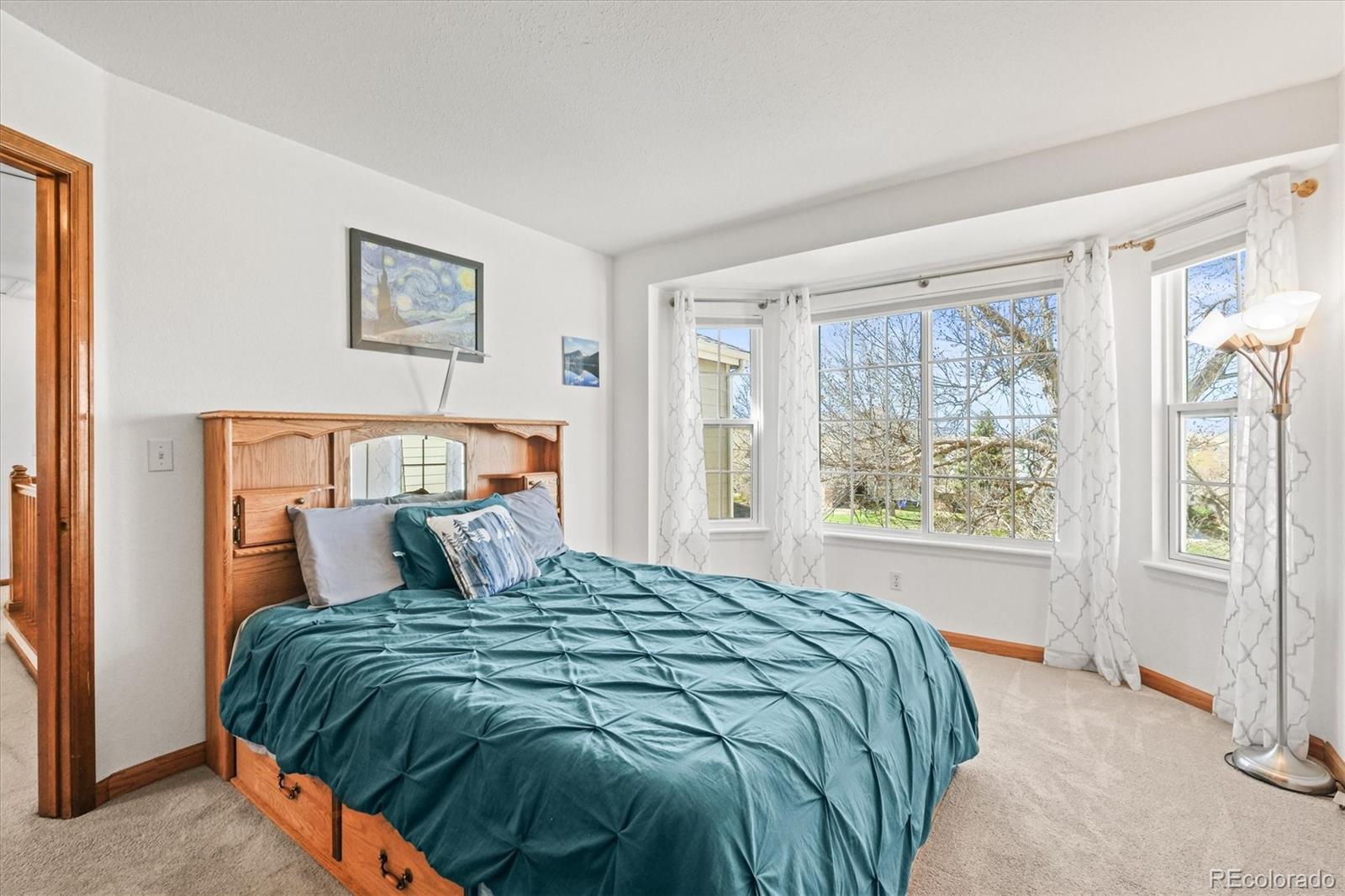 MLS Image #14 for 11636  laurel lane,parker, Colorado