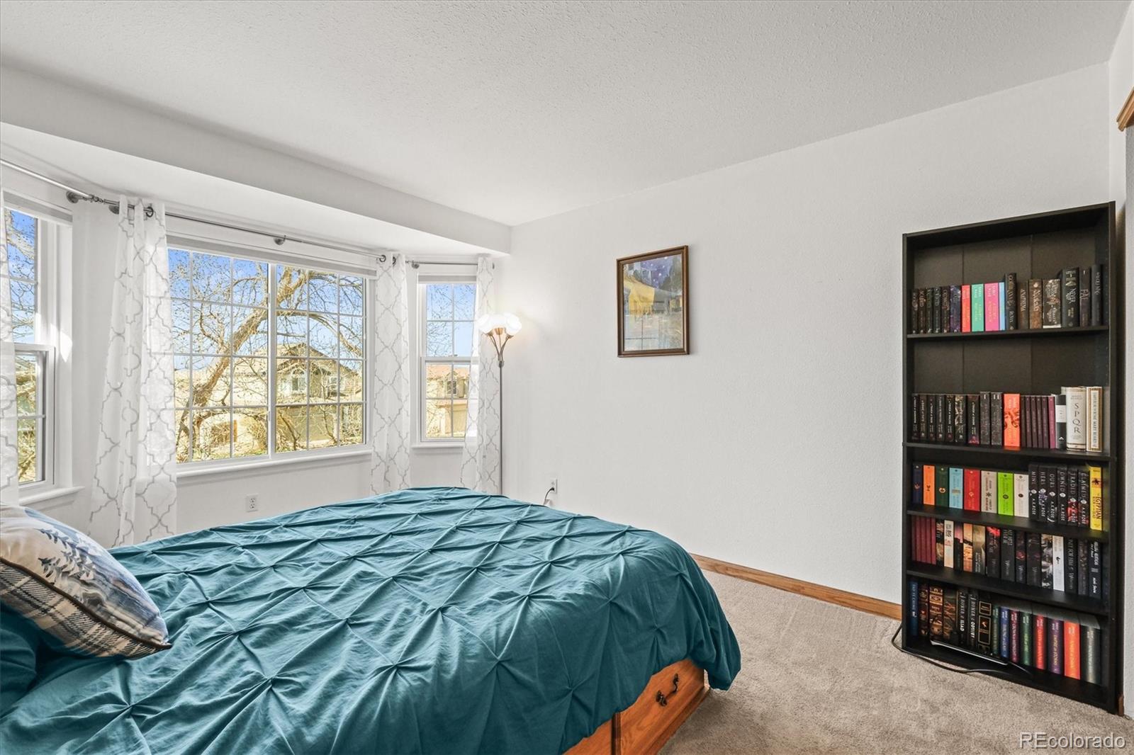 MLS Image #15 for 11636  laurel lane,parker, Colorado