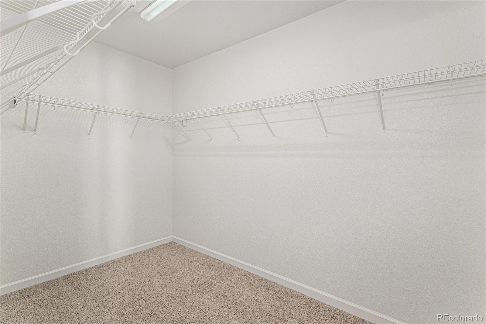 MLS Image #17 for 1405  willow oak road,castle rock, Colorado