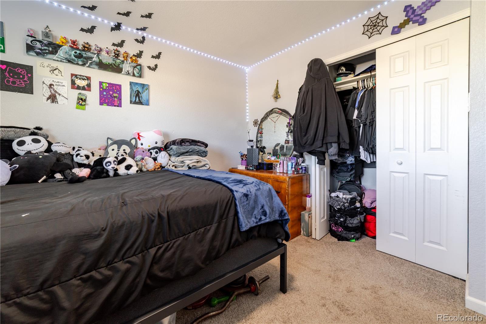 MLS Image #11 for 3926  sheffield lane,pueblo, Colorado
