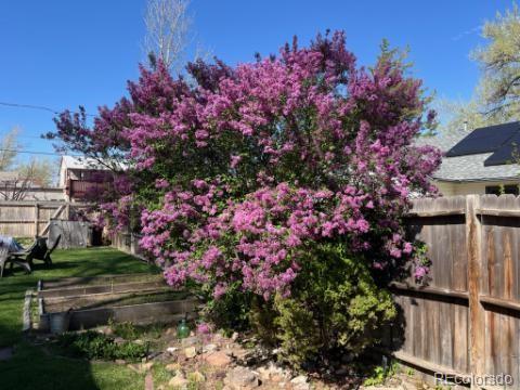 MLS Image #49 for 141  3rd avenue,niwot, Colorado