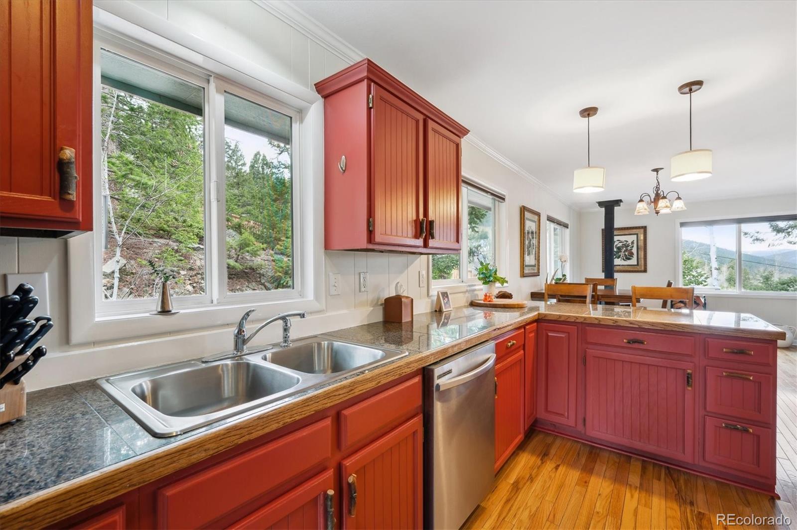 MLS Image #10 for 9951  city view drive,morrison, Colorado