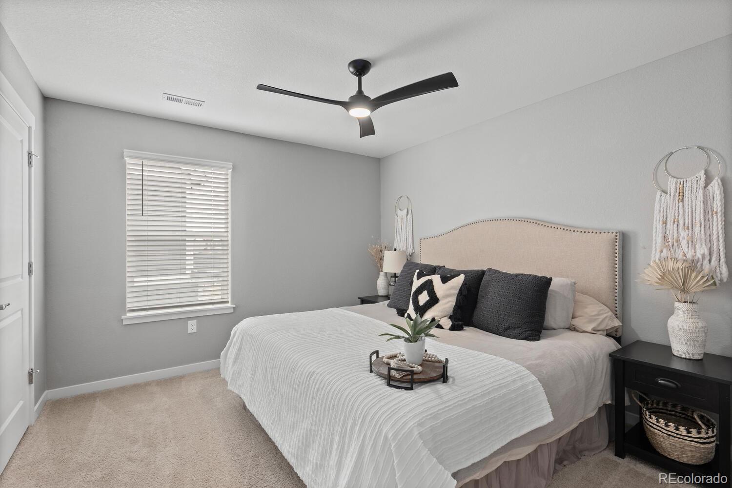 MLS Image #18 for 17969  sky pilot avenue,parker, Colorado