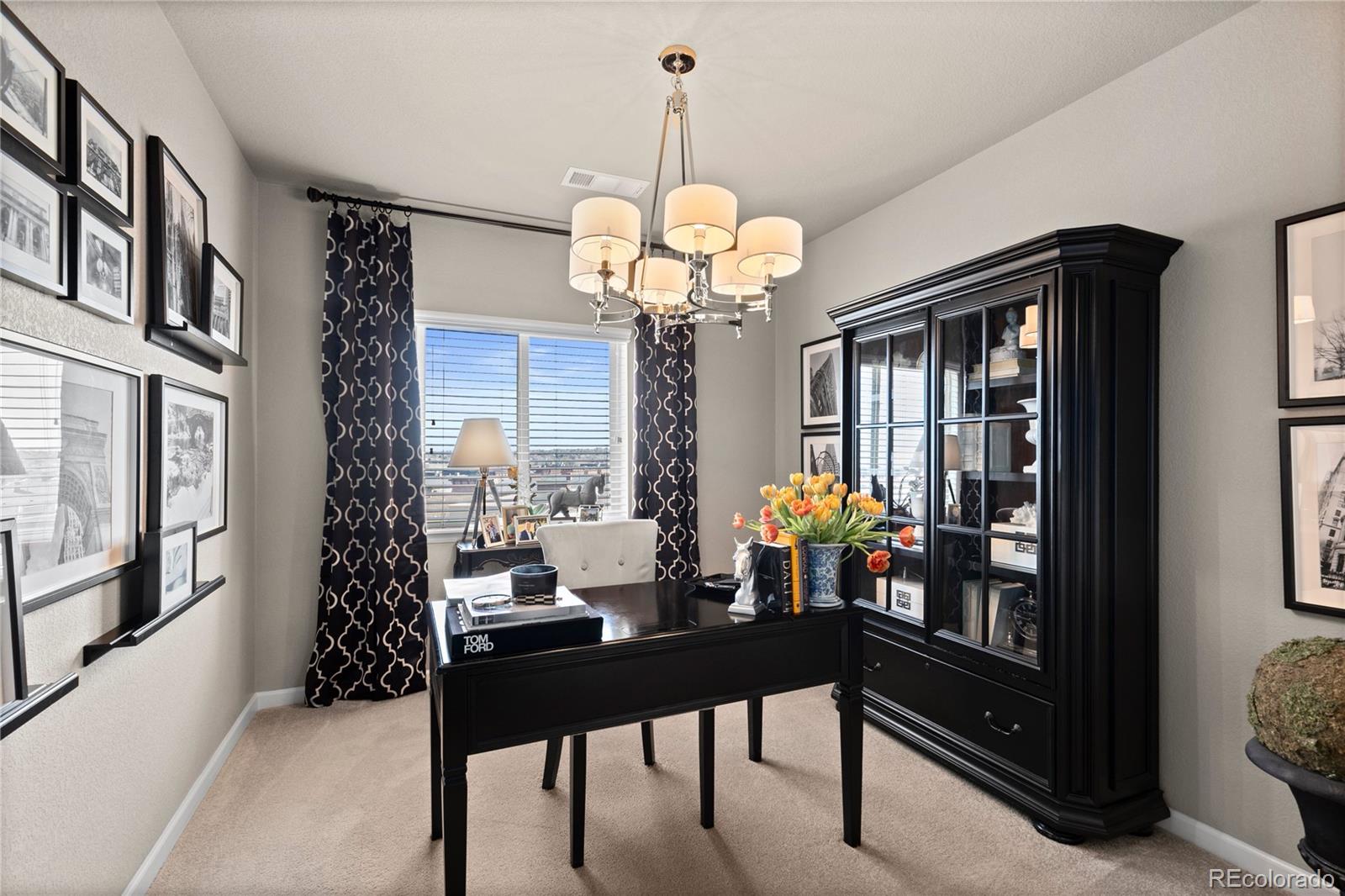 MLS Image #20 for 725  elmhurst drive,highlands ranch, Colorado