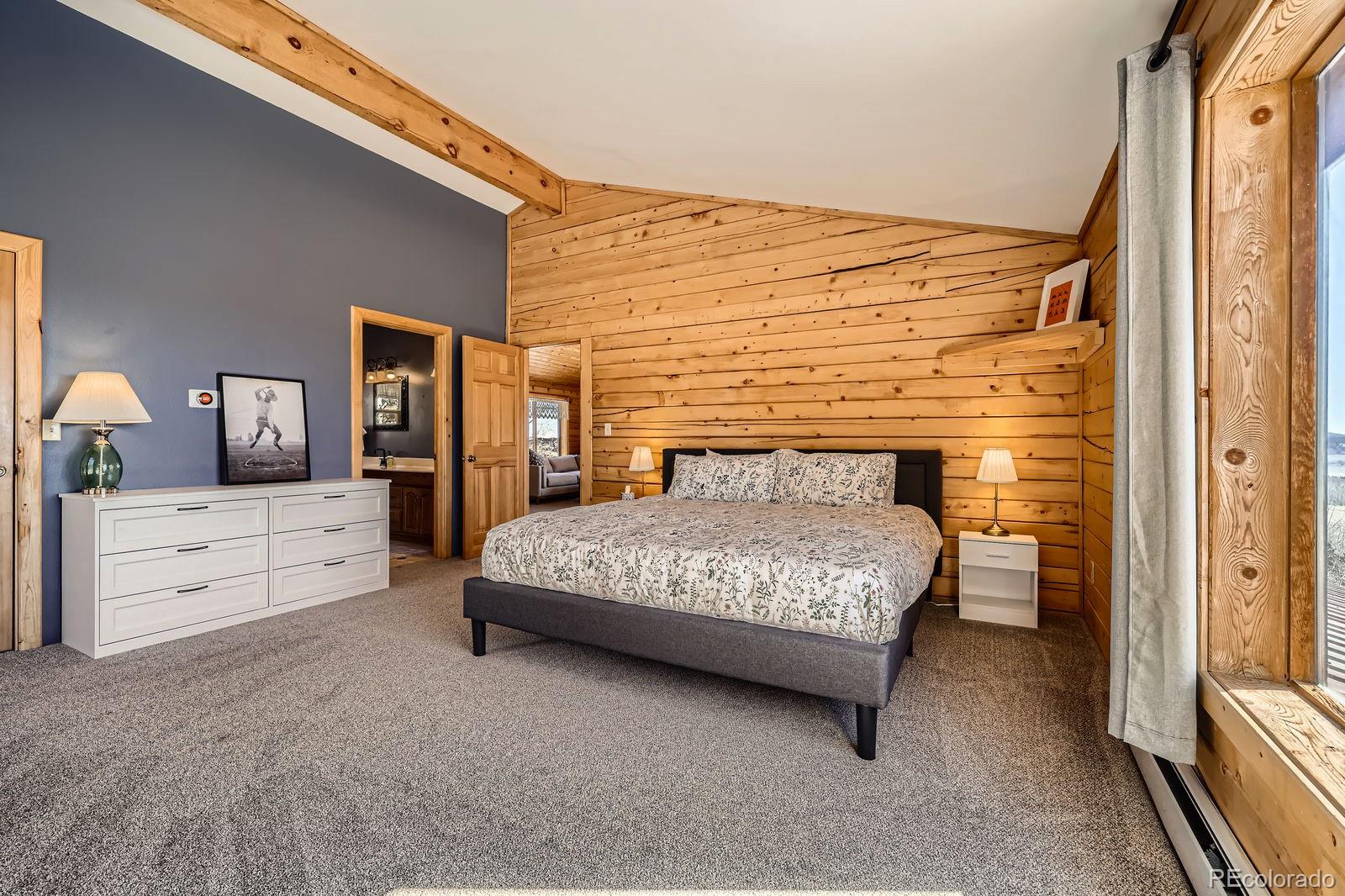 MLS Image #21 for 201  lumber jack road,fairplay, Colorado