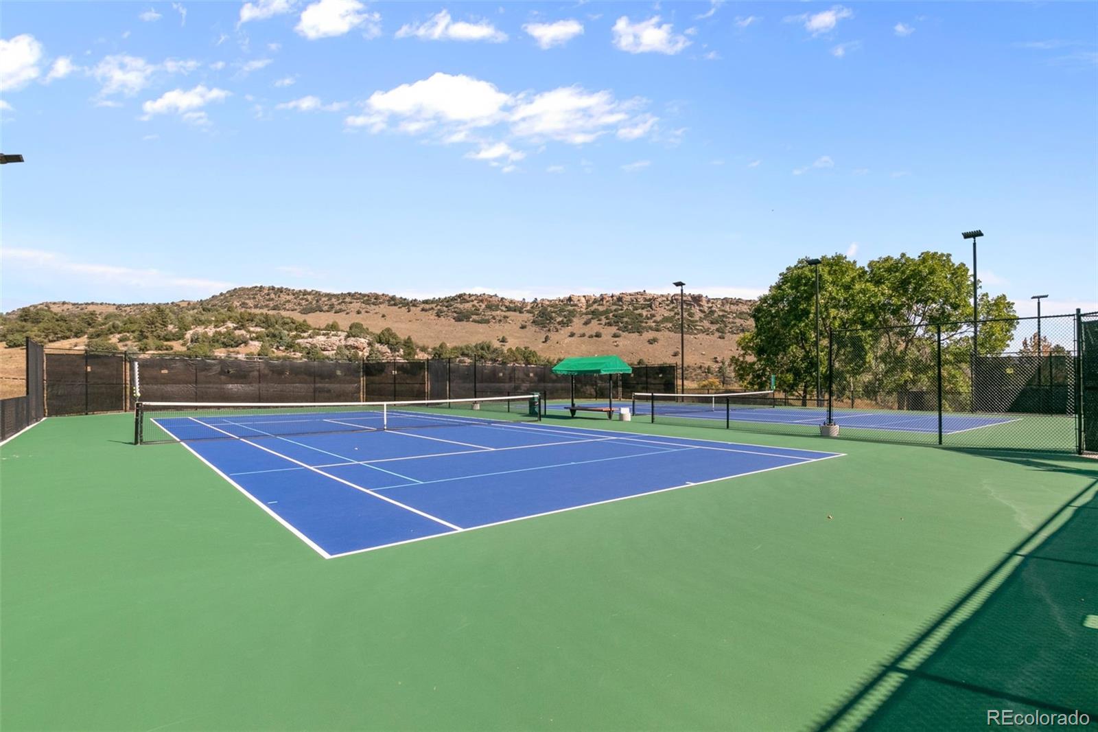 MLS Image #44 for 112  willowleaf drive,littleton, Colorado