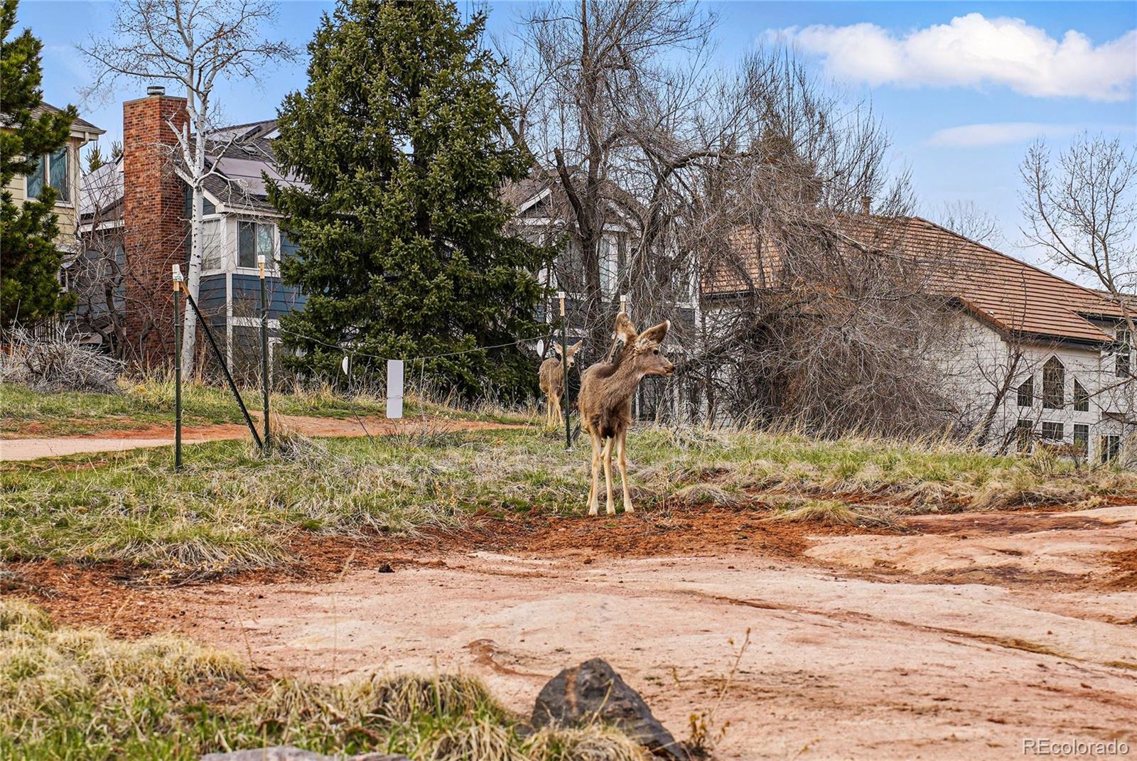 MLS Image #47 for 112  willowleaf drive,littleton, Colorado