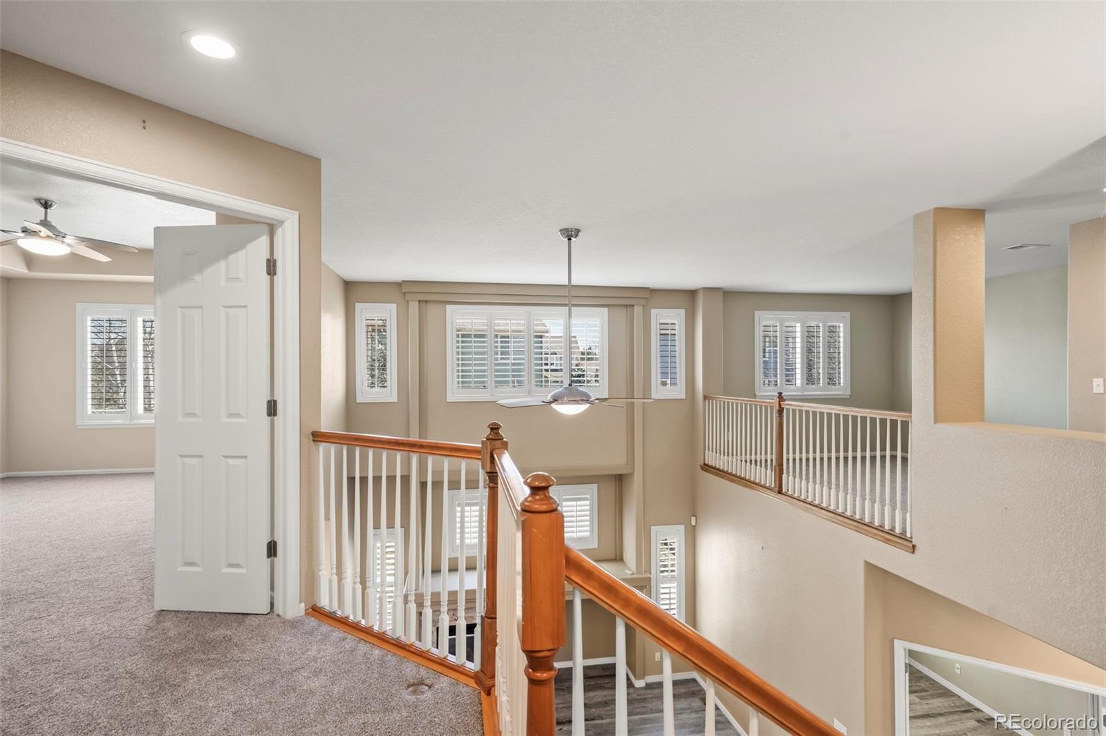 MLS Image #13 for 12062  song bird hills street,parker, Colorado