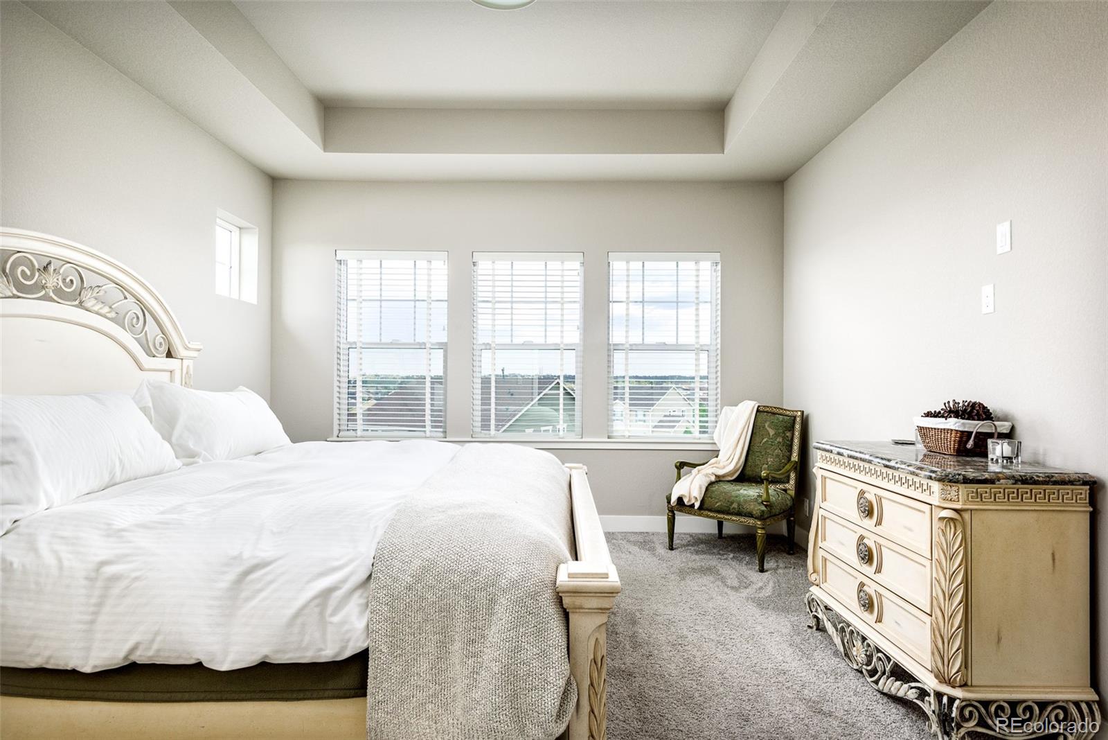 MLS Image #15 for 23270 e rockinghorse parkway,aurora, Colorado