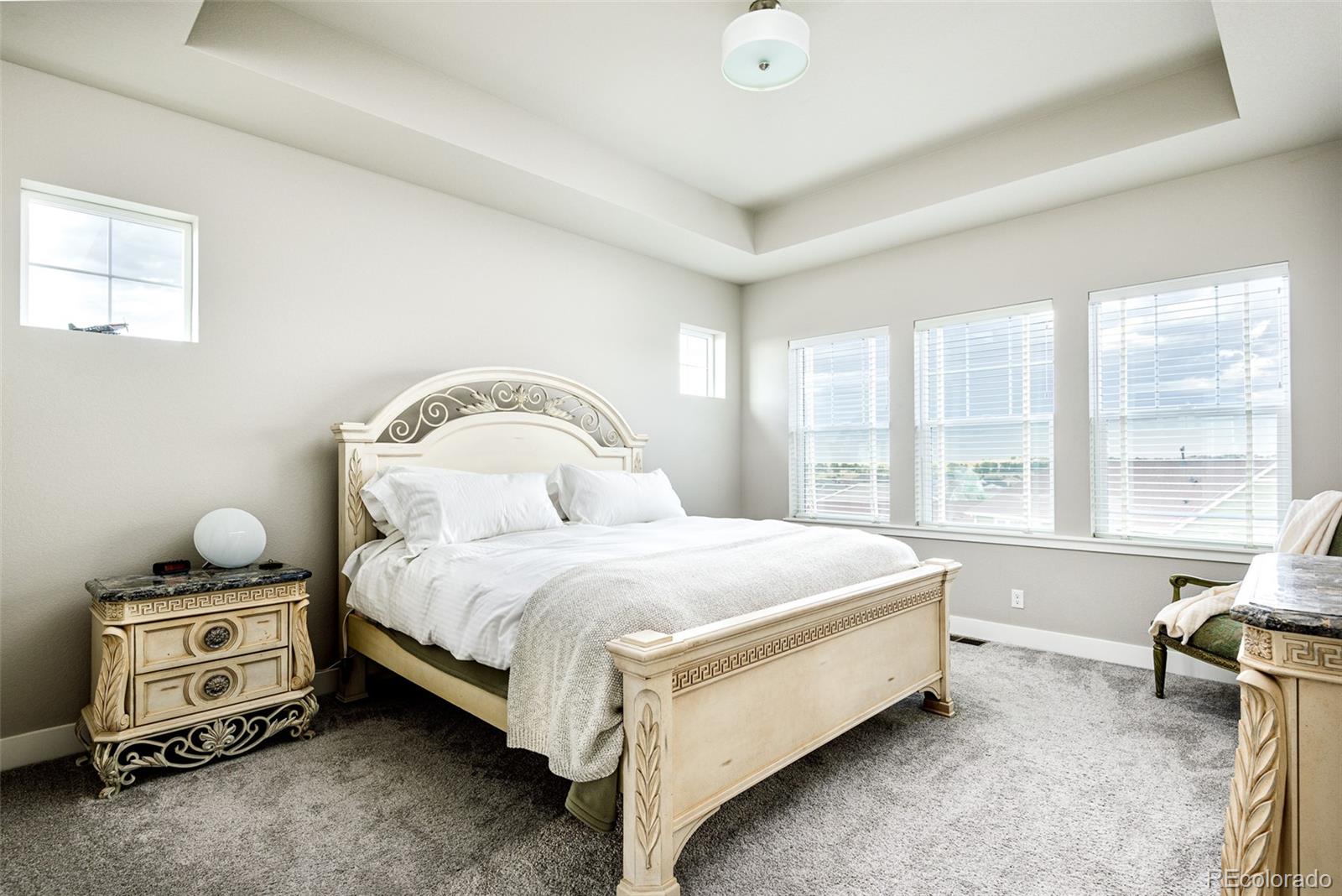 MLS Image #16 for 23270 e rockinghorse parkway,aurora, Colorado