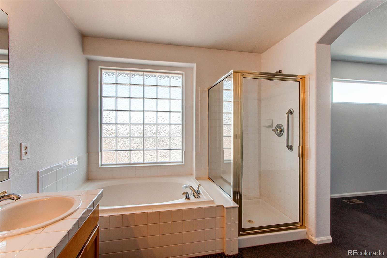 MLS Image #35 for 10486  cheetah winds ,lone tree, Colorado