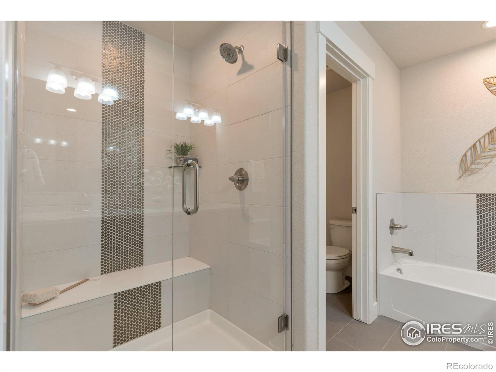 MLS Image #14 for 636  morrison drive,frederick, Colorado