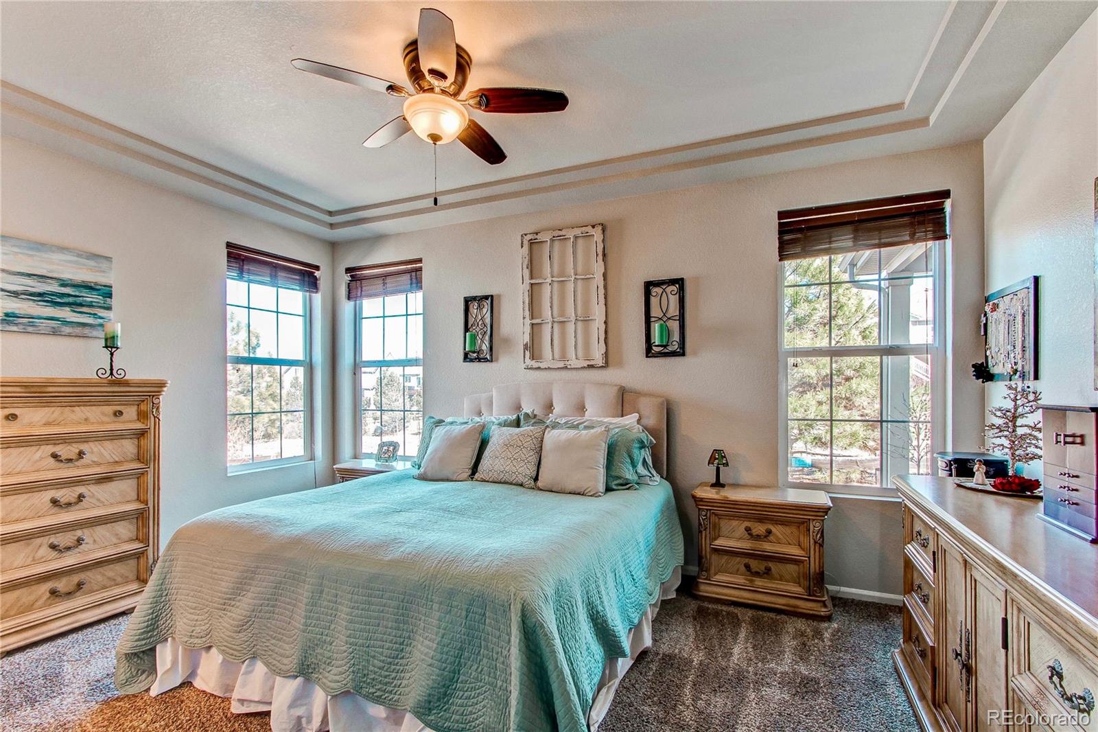 MLS Image #19 for 3375  starry night loop,castle rock, Colorado