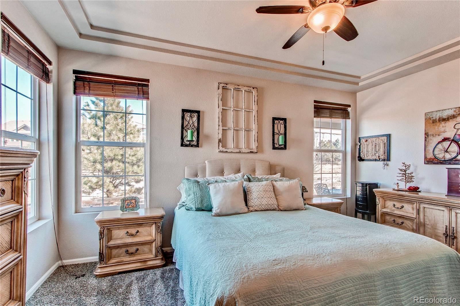 MLS Image #20 for 3375  starry night loop,castle rock, Colorado