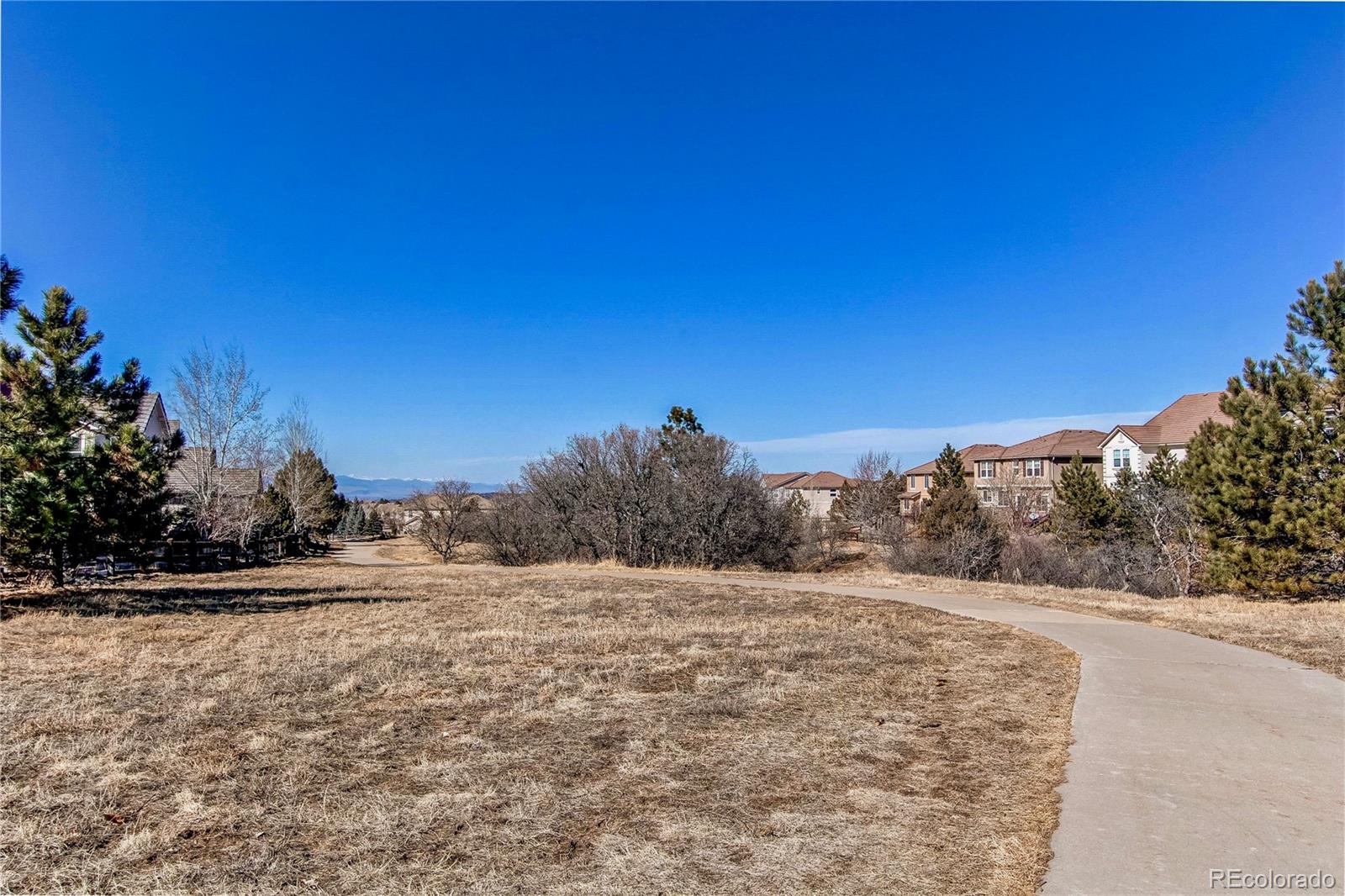 MLS Image #36 for 3375  starry night loop,castle rock, Colorado