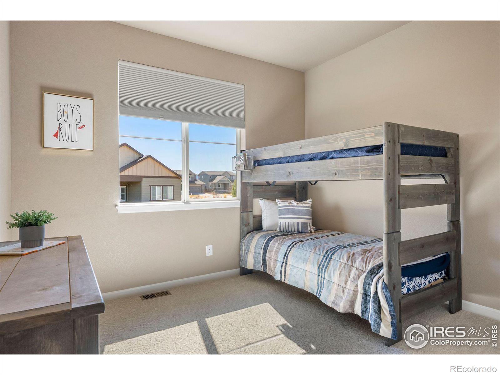 MLS Image #19 for 18926 w 93rd avenue,arvada, Colorado