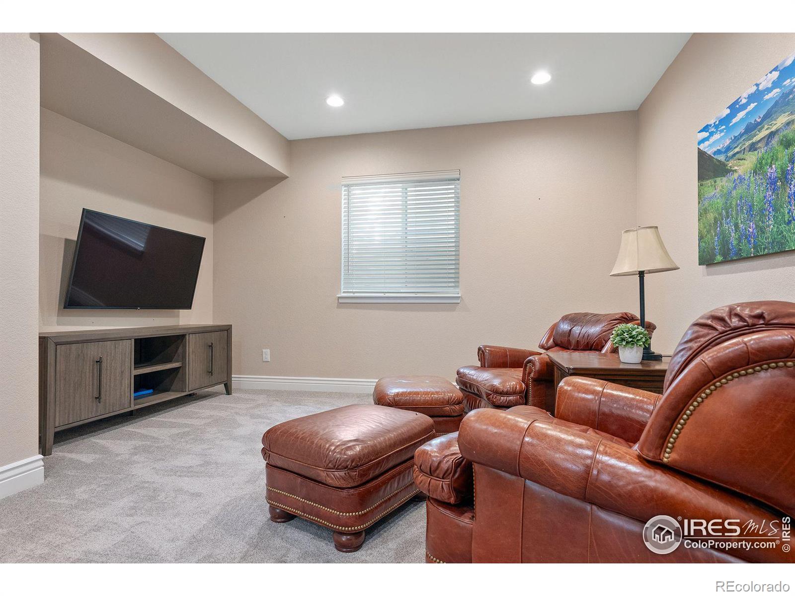 MLS Image #25 for 18926 w 93rd avenue,arvada, Colorado
