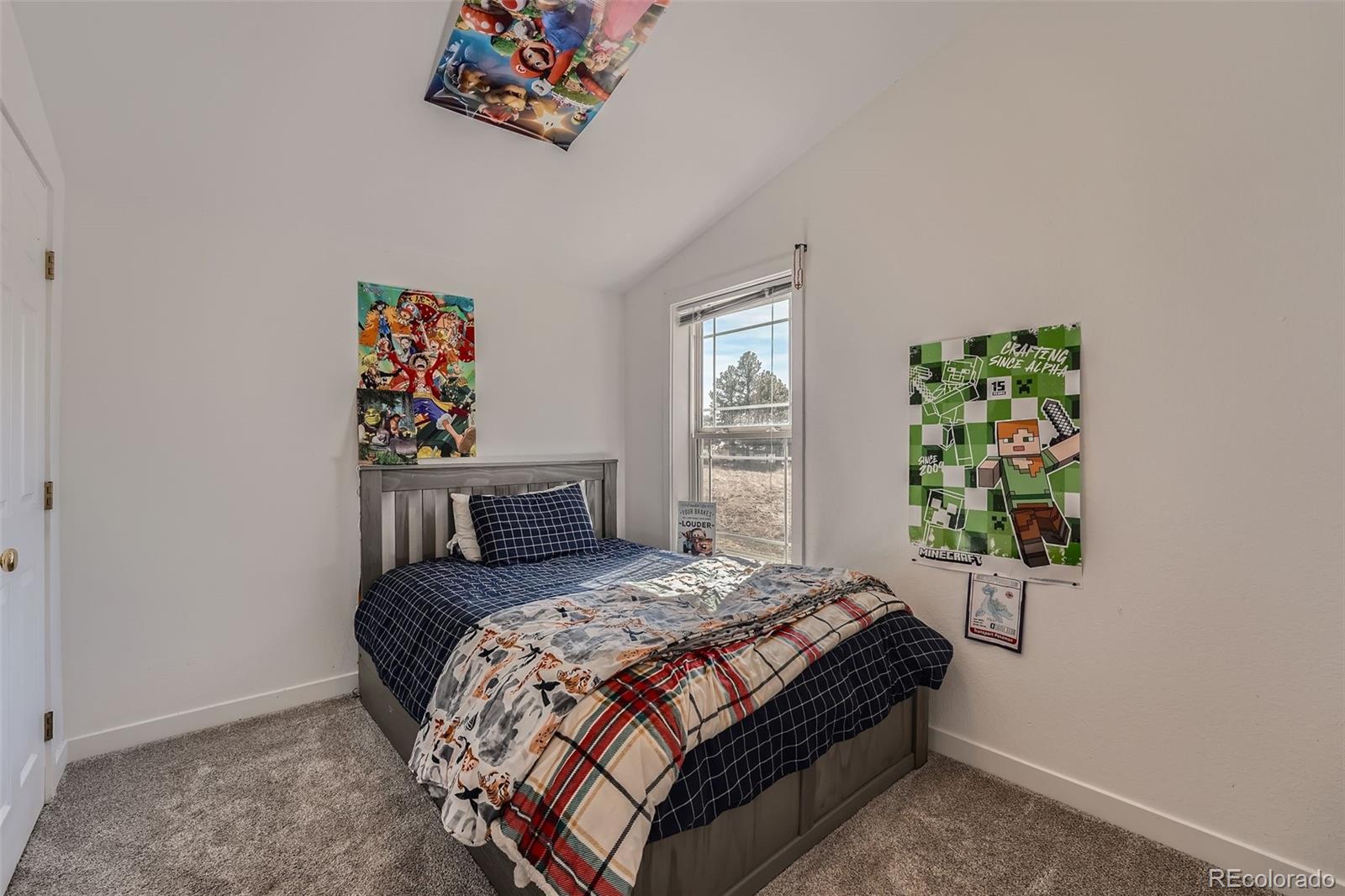 MLS Image #22 for 27450  plainview drive,kiowa, Colorado